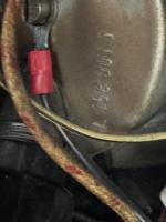 June 53 double arrow speedo beetle
