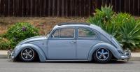 Slammed Bug