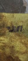 Front Needle Bearing