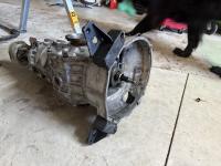 trans mounts