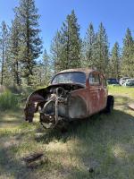 1957 beetle rescue