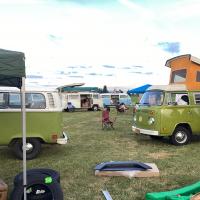 Woodburn Oregon 40th NW Bug Run May 2025