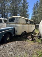 Bus hunting
