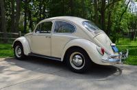 1966 Beetle daily driver