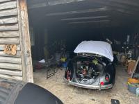 58 Swedish beetle