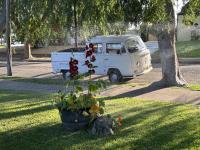 Late Spring Afternoon