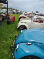 VW.REVIVAL 2025  JUNE 1
