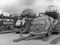 Type 1 - Late Beetle