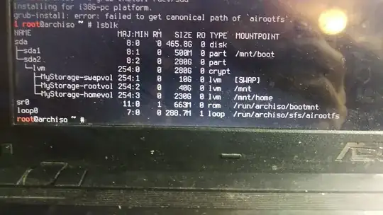 lsblk output