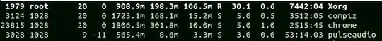 The image shows processes in top where the memory is displayed in MiB