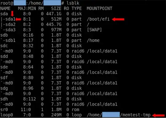lsblk output
