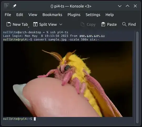 A Konsole session displaying an image using ImageMagick SIXEL output