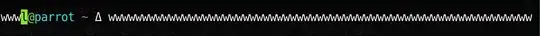 The terminal overwriting the current line
