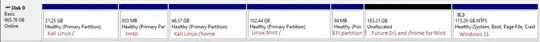 Windows 11 disk management