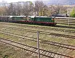 Locos in Rîbnița