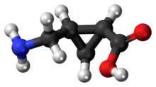 (+)-CAMP molecule