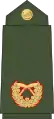 Brigadier general(Nepali: सहायक रथी, romanized: Sahaayak rathee)(Nepalese Army)