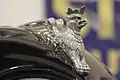 Hood ornament of the car, in form of the griffin from the coat of arms of Szczecin.