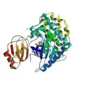 ASF/SF2 (left: red/orange/yellow) complexed with SRPK1 (right: blue/green/yellow) based on the 3BEG crystallographic coordinates.