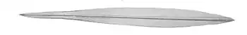 #68 (18/7/1895)Gladius (internal shell remnant) measuring 39&nbsp;cm extracted from the same specimen (Joubin, 1900:pl. 15 fig. 10)