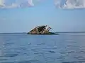 SS&nbsp;Atlantus