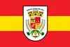 Flag of Santa Rosa do Sul