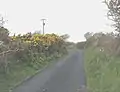 Paved backroad, Llanfairyneubwll, Isle of Anglesey, UK