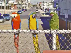 EGA 640&nbsp;×&nbsp;350&nbsp;×&nbsp;16 colors, EGA palette