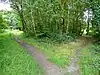 Bisley Common