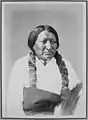Portrait of Ta-Tan-Kah-Sa-Pah (Black Bull), 1872
