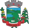 Official seal of Coronel Martins