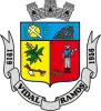 Official seal of Vidal Ramos