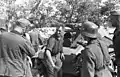 German soldiers loading ammunition from a Sd.Kfz 252, Crimea, June 1942.