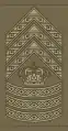 Chefsergent(Royal Danish Army)