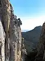 Image 23 El Chorro, Spain (from Portal:Climbing/Popular climbing areas)