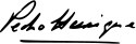 Prince Pedro Henrique's signature