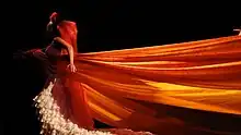 Latin Ballet of Virginia