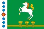 Flag of Sharypovsky District