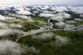 Photo of the Garamba National Park from a plane