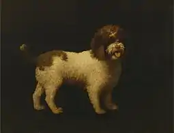 Water Spaniel (1769), oil on canvas,  90.2 x 116.8&nbsp;cm., Yale Center for British Art