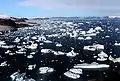 Icebergs broken off from glaciers in northern Baffin Bay, Cape York, Greenland