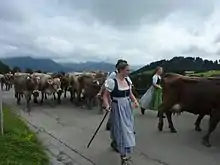 Image 7Seasonal migration to pasture (from Culture of Austria)