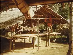 A traditional house in Antecume Pata.
