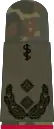 Oberfeldarzt i.G.