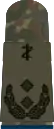 Oberfeldarzt(dent. medicine)