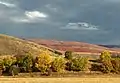 Fall colors - Huntsville, Utah