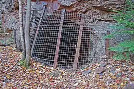 Cover over drift near North Jackson Pit No.&nbsp;1, 2010