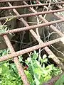 the closeup of the well