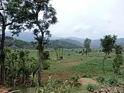 Kuntabesi Valley