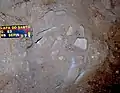 Burial 15. Excavation at exposition 1.
